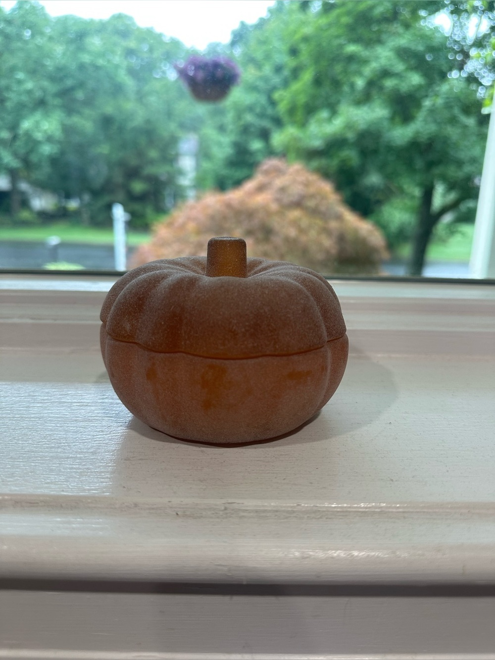 Pumpkin Candle